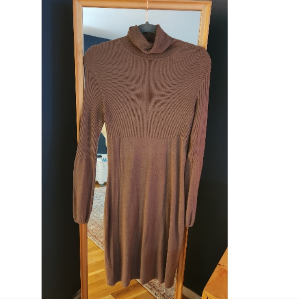 Sweater Dress